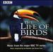 The Life of Birds