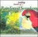 Rainforest Symphony Soothing Sounds