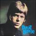 David Bowie [PGD Special Markets]