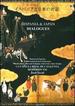 Hispania & Japan: Dialogues