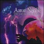 Orchid in the Storm [Bonus Tracks]
