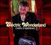 Electric Wonderland