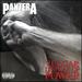 Vulgar Display of Power [Deluxe Edition]