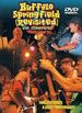 Buffalo Springfield (Revisited) in Concert