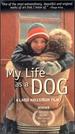 My Life as a Dog