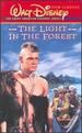 The Light in the Forest