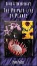 David Attenborough's The Private Life of Plants: Plant Politics