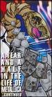 Metallica: A Year and a Half in the Life of Metallica... Continued