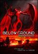 Below Ground: Demon Holocaust