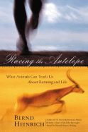 Racing the Antelope: What Animals Can Teach Us about Running and Life