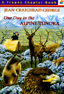 One Day in the Alpine Tundra