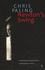 Newton's Swing