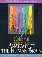 A Colorful Introduction to the Anatomy of the Human Brain: A Brain and Psychology Coloring Book