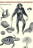 Genetic Perspectives in Biology and Medicine