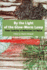 By the Light of the Glow-Worm Lamp