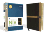 Study Bible-NIV-Large Print