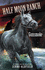 Gunsmoke