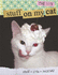Stuff on My Cat