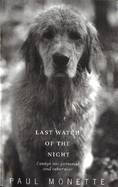 Last watch of the night