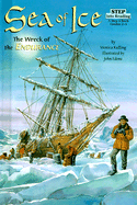 Sea of Ice: The Wreck of the Endurance