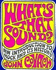 What's That Sound?: An Introduction to Rock and Its History