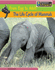 Life Cycle of Mammals