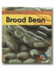 Life Cycle of a Broad Bean
