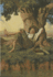 The Adventures of Tom Sawyer