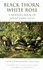 Black Thorn, White Rose: A Modern Book of Adult Fairy-tales