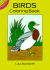 Birds Coloring Book