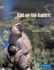 Eat or Be Eaten: Predator Sensitive Foraging Among Primates