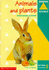 Animals and Plants: Key Stage 2