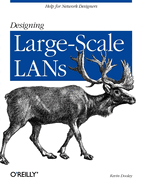 Designing Large Scale LANs