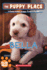 Bella