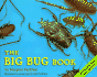 The Big Bug Book
