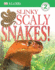 Slinky, Scaly Snakes