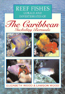 Reef Fishes Corals and Invertebrates of the Caribbean