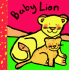 Baby Lion: 9