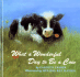 What a Wonderful Day to Be a Cow