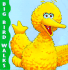 Big Bird Walks