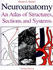 Neuroanatomy: An Atlas of Structures, Sections, and Systems