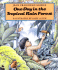 One Day in the Tropical Rain Forest
