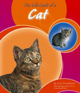 The Life Cycle of a Cat