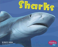 Sharks
