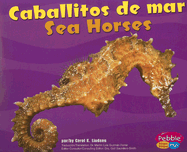 Caballitos de Mar/Sea Horses
