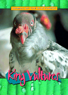 King Vultures