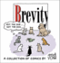 Brevity: A Collection of Comics by Guy and Rodd