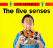 The Five Senses