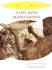 A Day with Homo Sapiens: Life 15,000 Years Ago