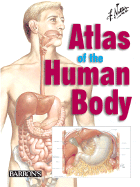 Netter's Atlas of the Human Body